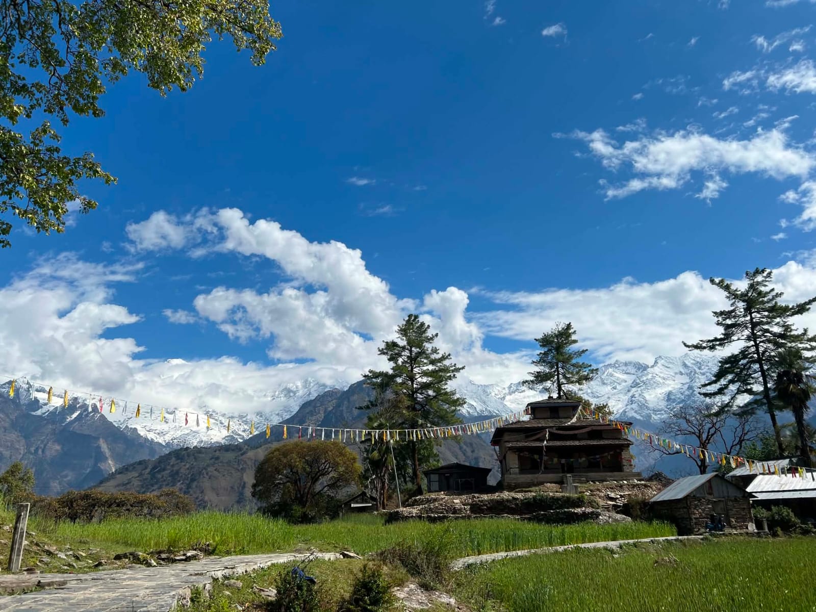 Ruby Valley Trek